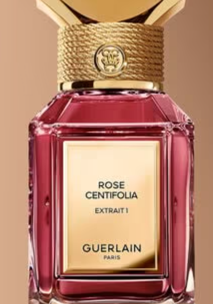 EDP Rose Centifolia Extrême 1 – Extrême